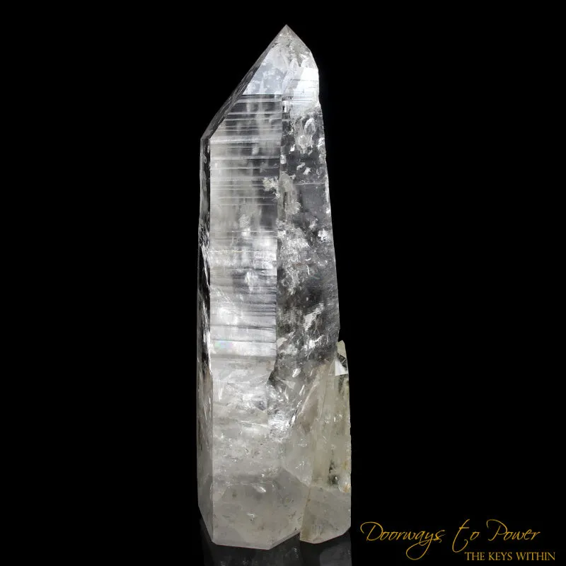 15.5" Massive Lemurian Seed Crystal Point 'PURE LIGHT' 15 lbs. Blessed & Energized