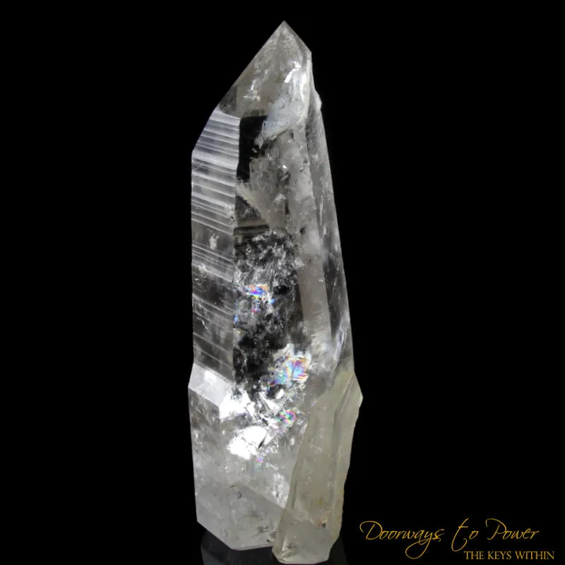 15.5" Massive Lemurian Seed Crystal Point 'PURE LIGHT' 15 lbs. Blessed & Energized