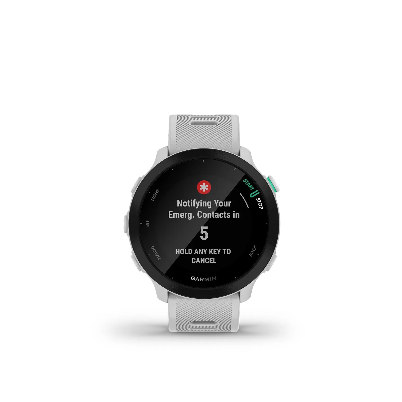 Forerunner 55 Smartwatch - Whitestone