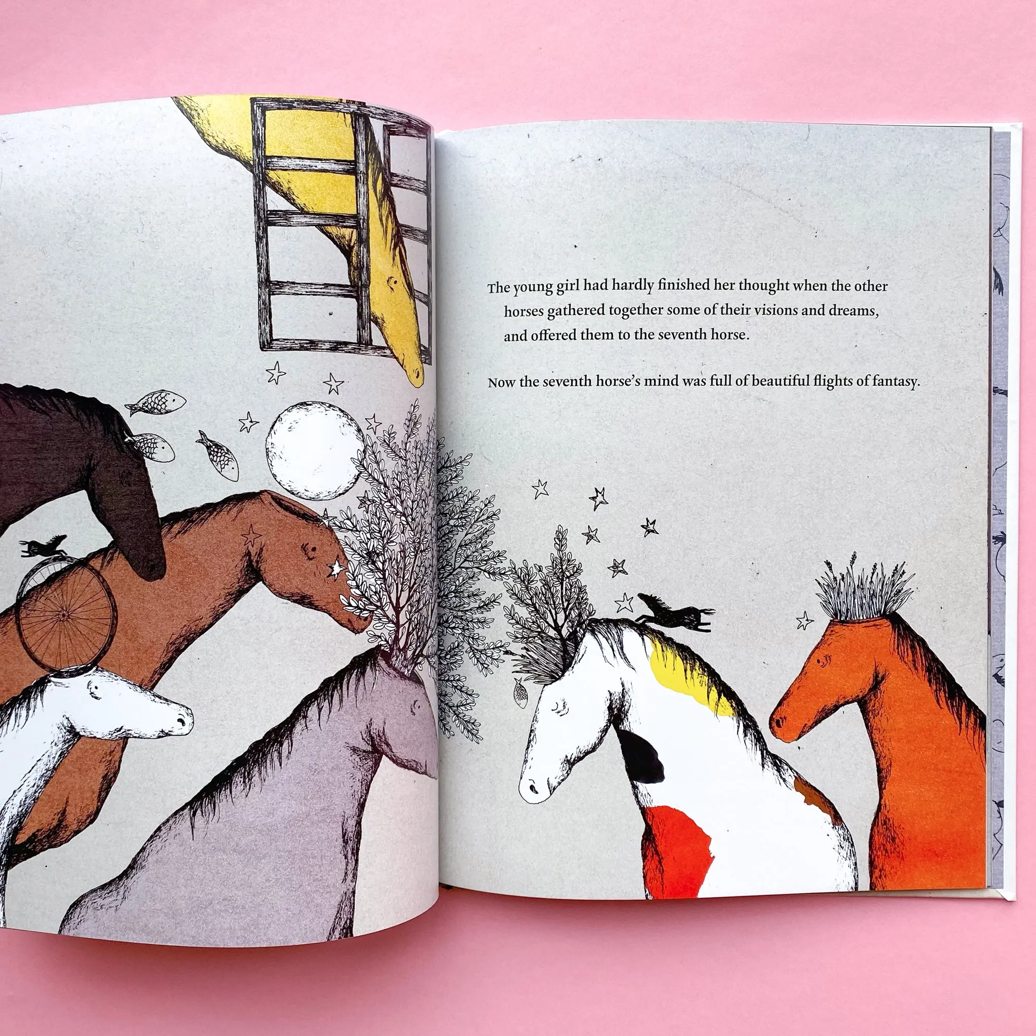 In the Meadow of Fantasies by Hadi Mohammadi; Illustrated by Nooshin Safakhoo