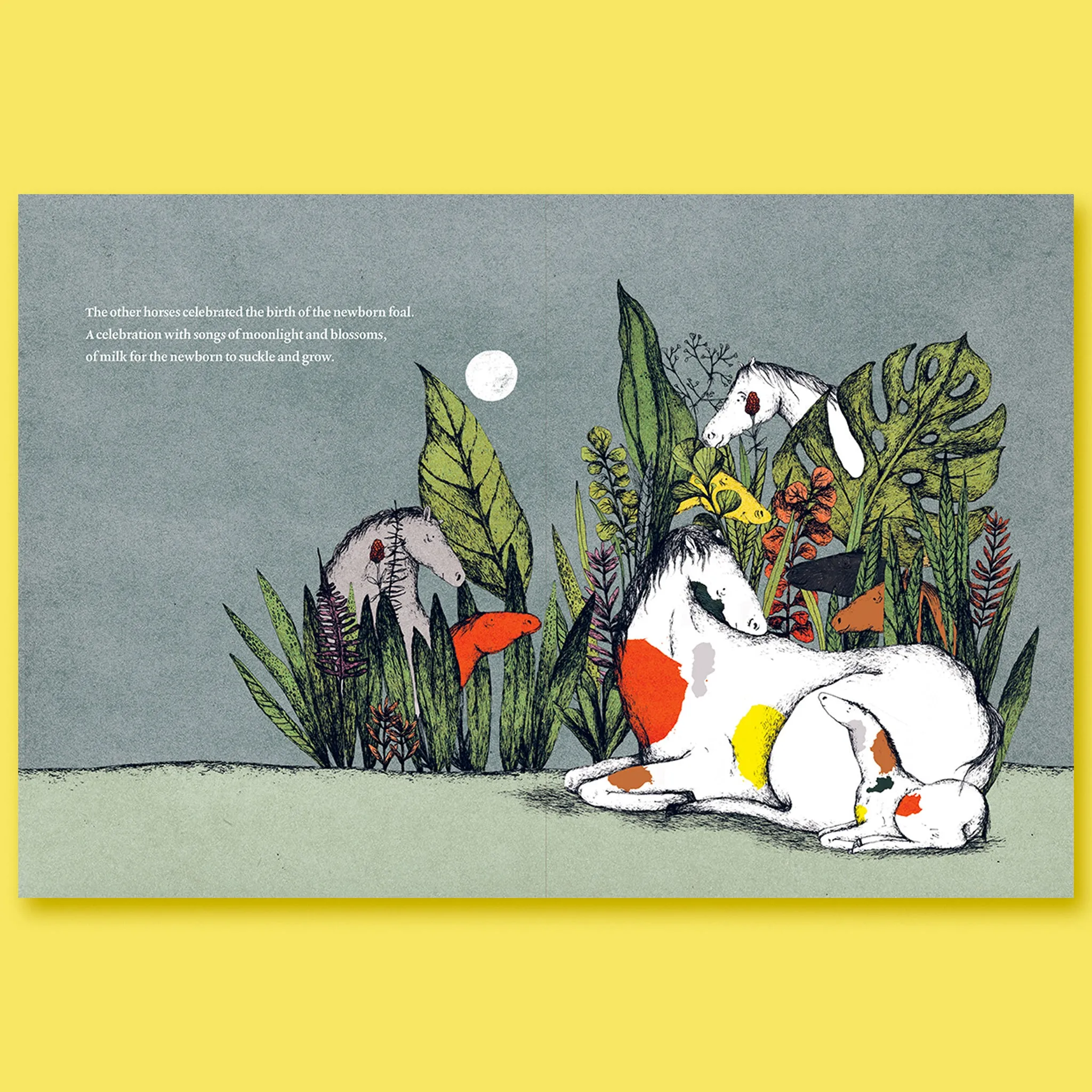 In the Meadow of Fantasies by Hadi Mohammadi; Illustrated by Nooshin Safakhoo